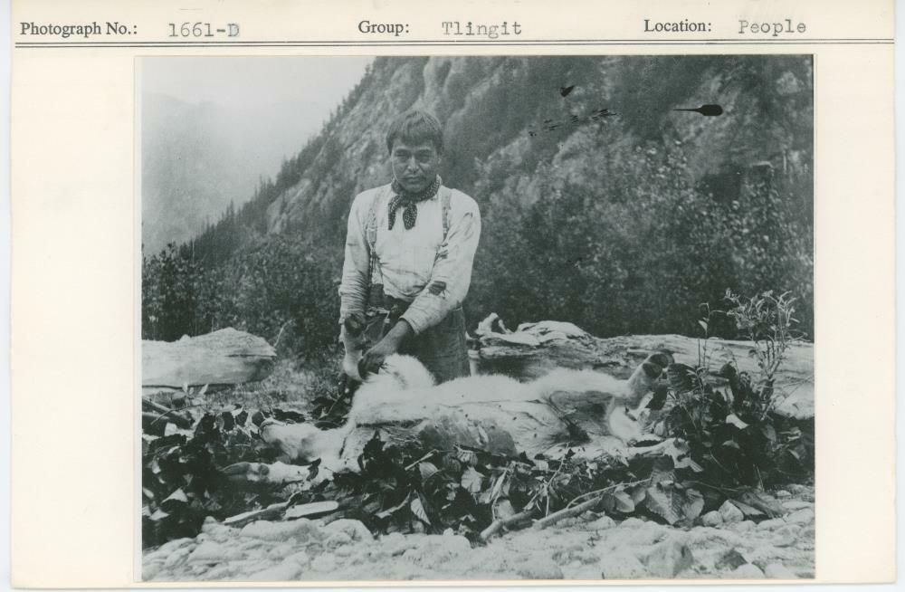 Image representing photograph.