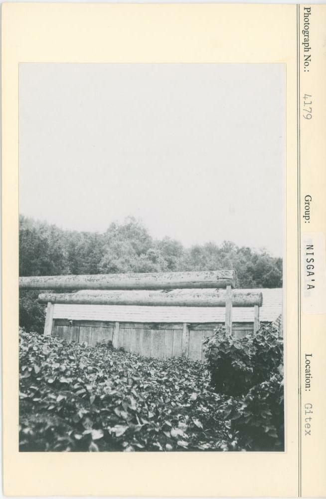 Image representing photograph.