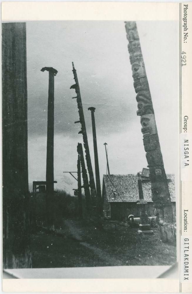 Image representing photograph.