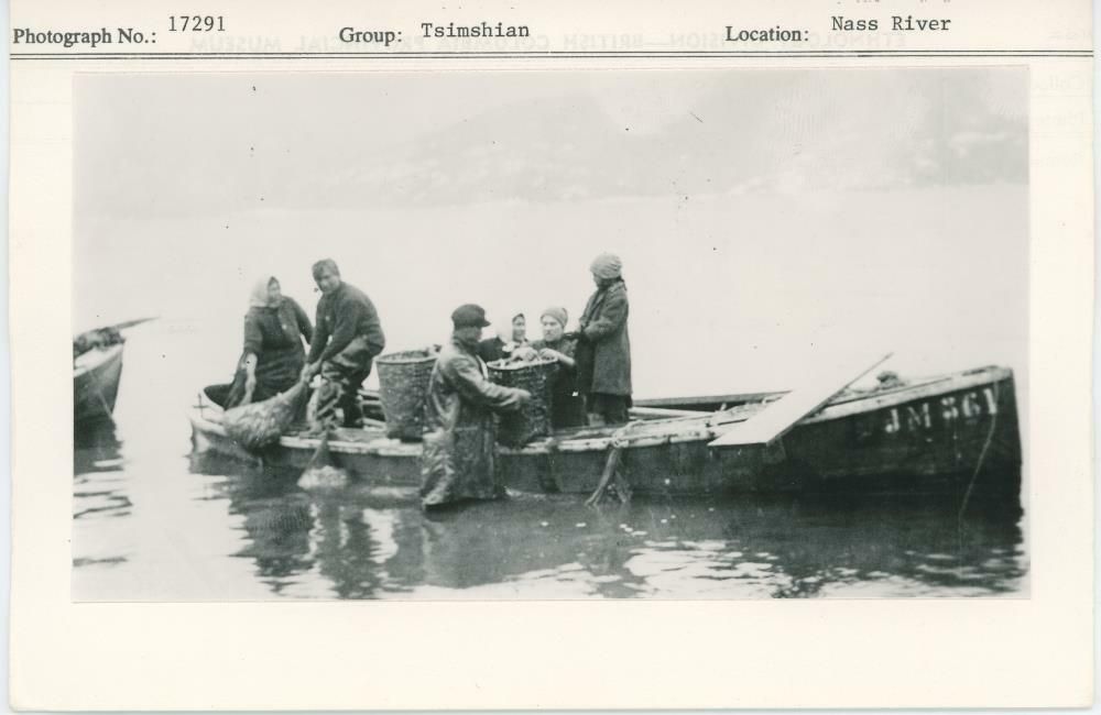 Image representing photograph.