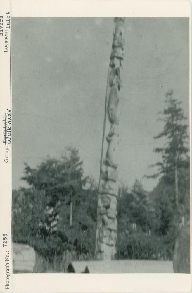 Image representing photograph.