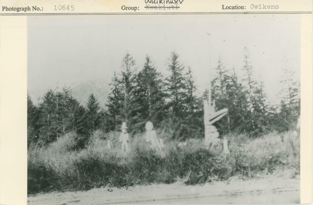 Image representing photograph.