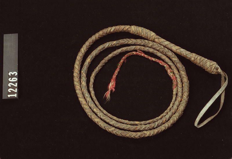 Image representing Whip.