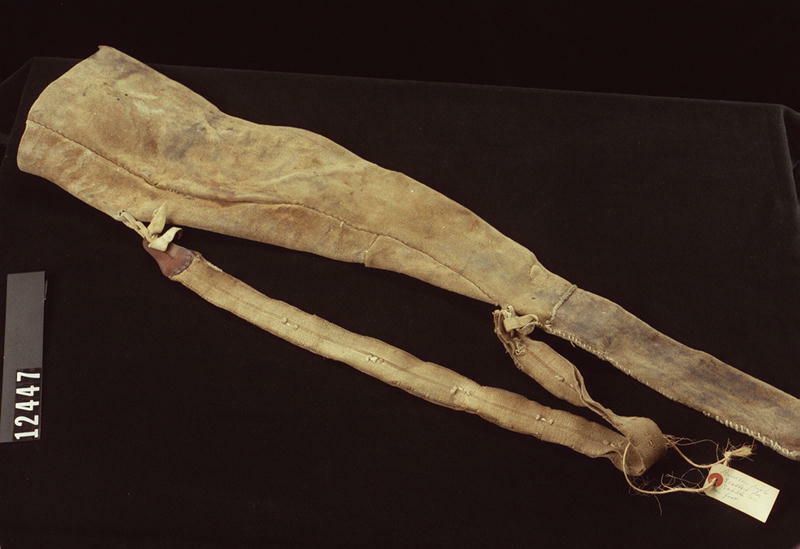 Image representing Scabbard.