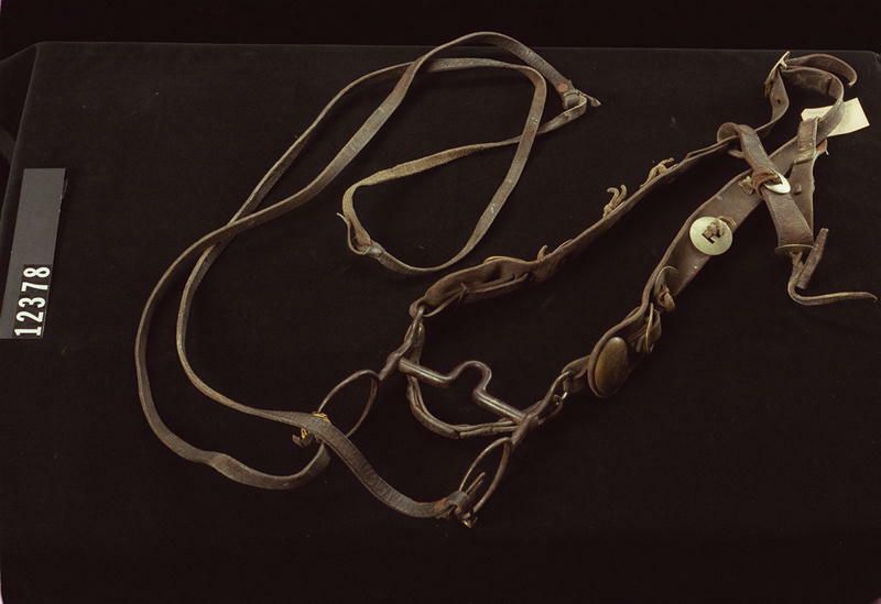 Image representing Bridle.