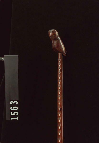 Image representing Staff.
