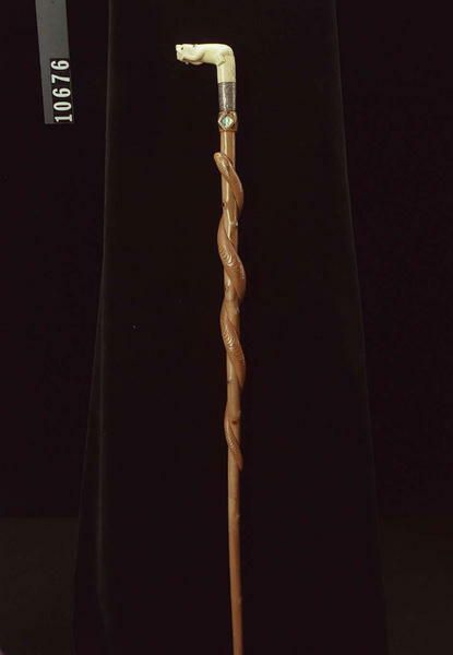 Image representing Cane; Stick.
