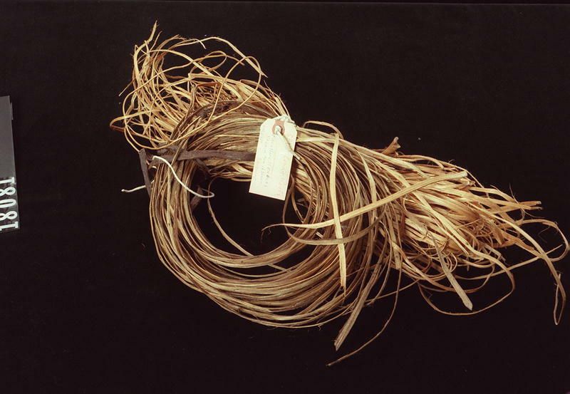 Image representing Prepared Material.