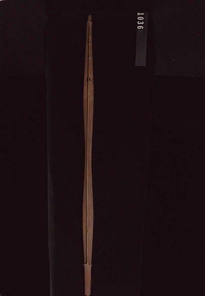 Image representing Bow; Arrow.