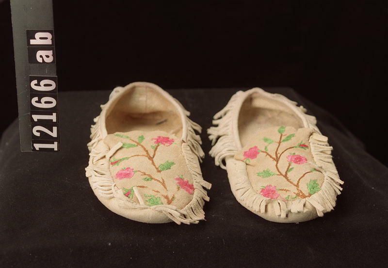 Image representing Moccasin.