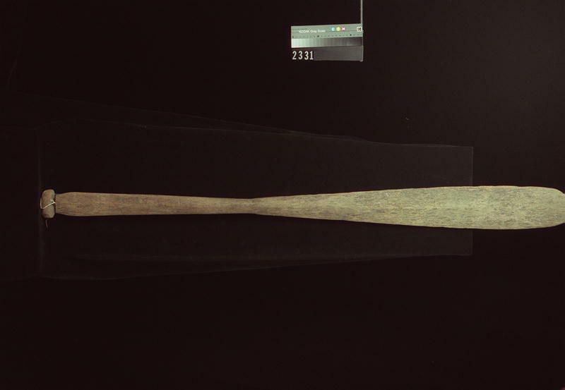 Image representing Paddle.