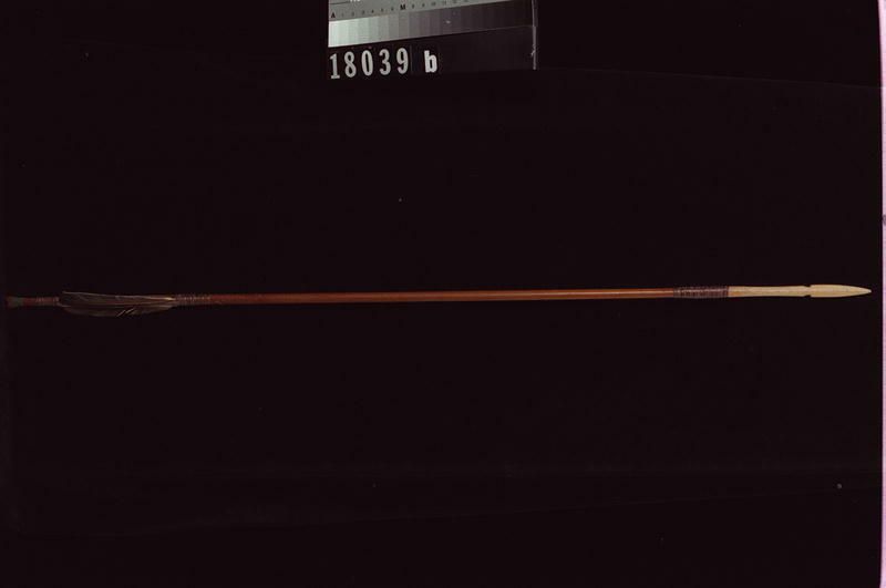 Image representing Arrow.