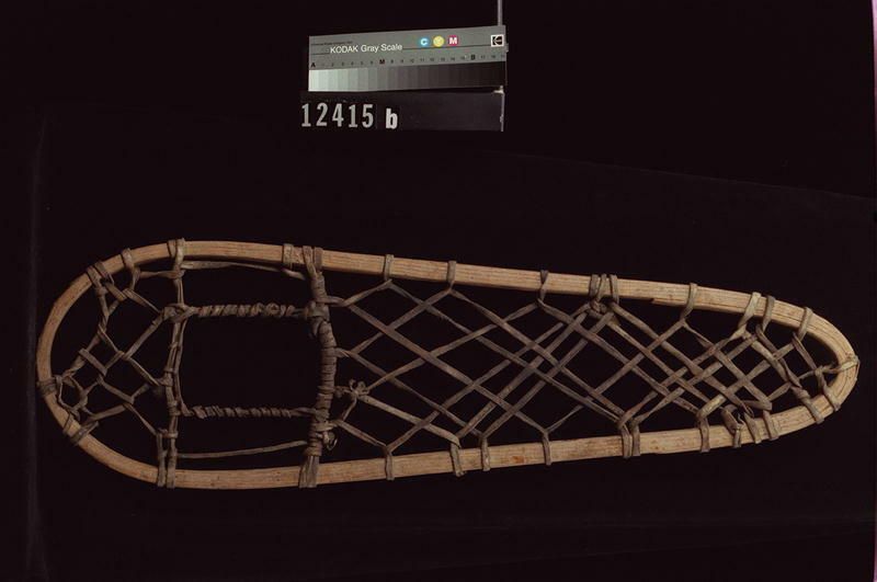 Image representing Snowshoes.