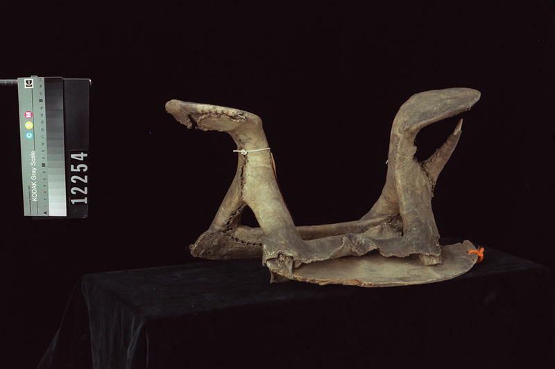 Image representing Saddle.