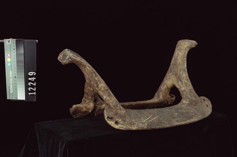 Image representing Saddle.