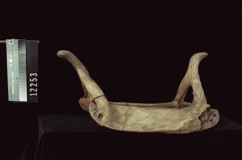 Image representing Saddle.