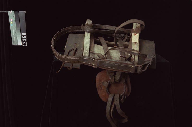 Image representing Saddle.