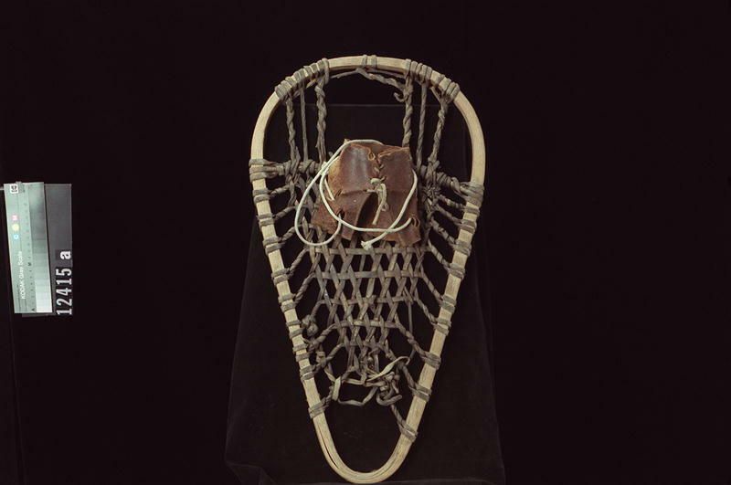 Image representing Snowshoe.