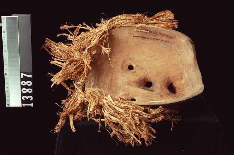 Image representing Mask.