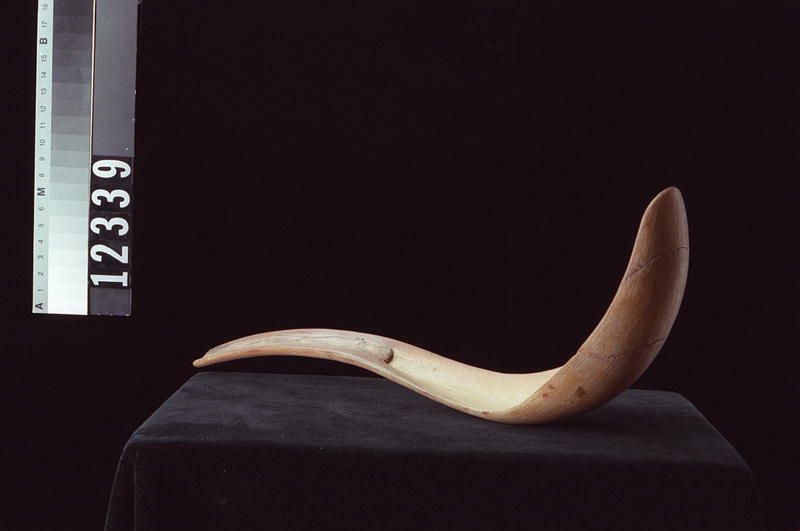 Image representing Ladle.
