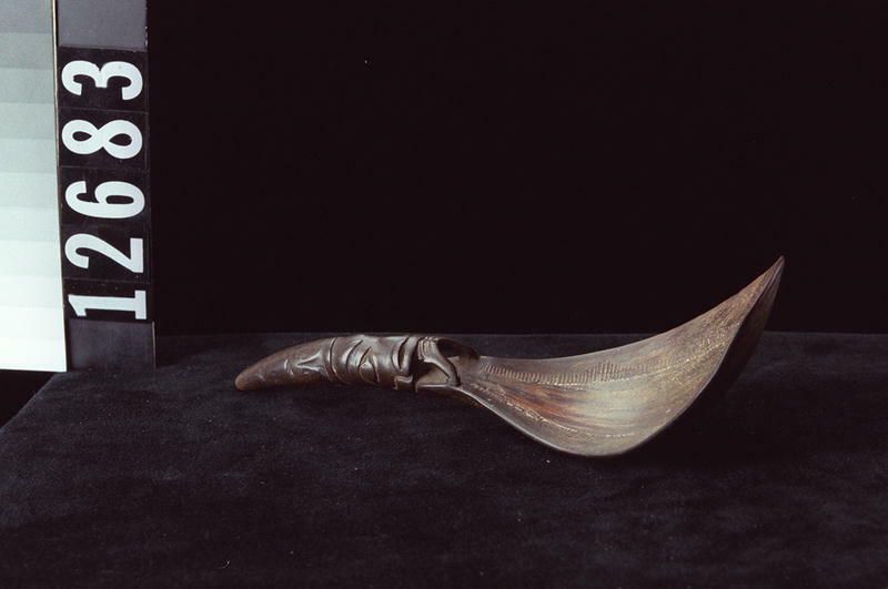 Image representing Spoon.