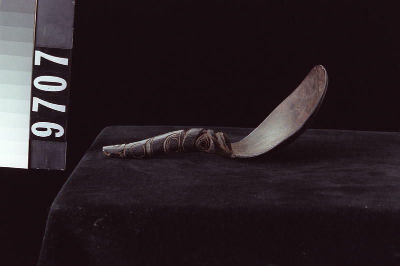 Image representing Spoon.