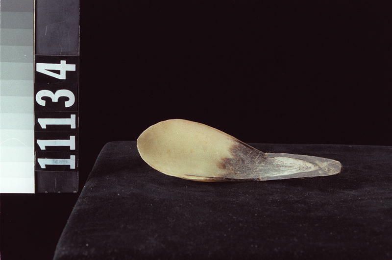 Image representing Spoon.