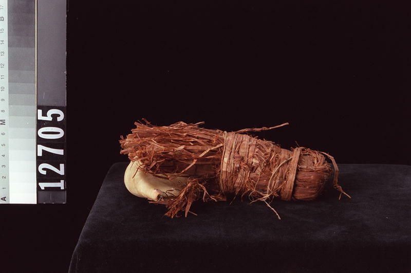Image representing Rattle.