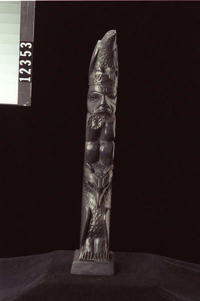 Image representing Pole, argillite.