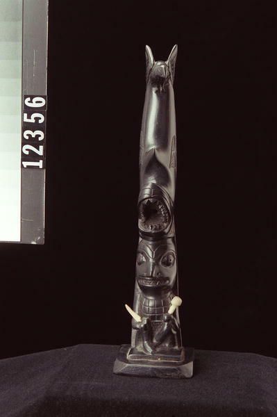 Image representing Pole, argillite.