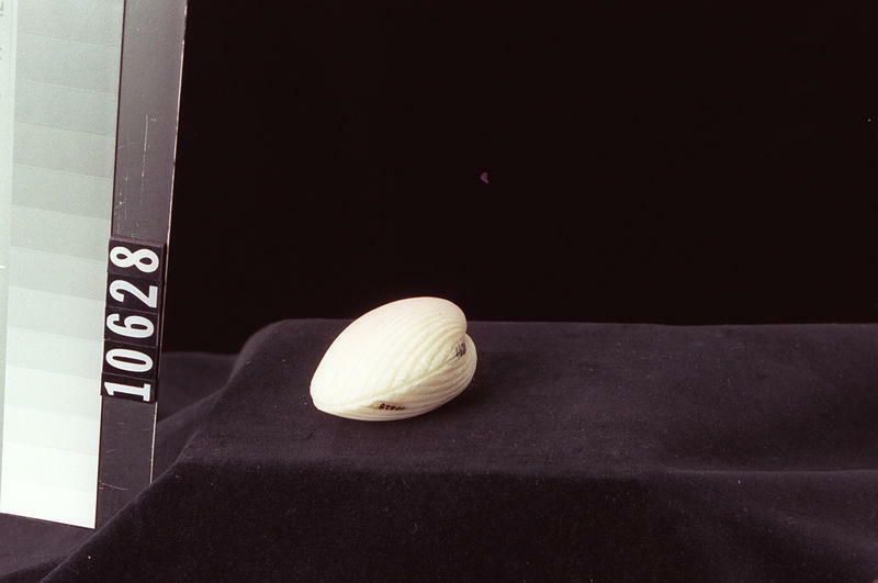 Image representing Carving.