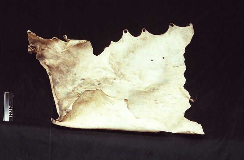 Image representing Hide.