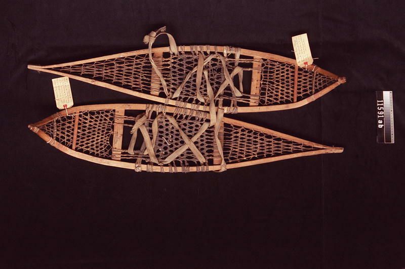 Image representing Snowshoe.