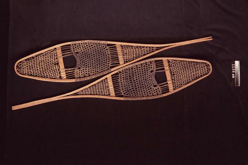 Image representing Snowshoe.