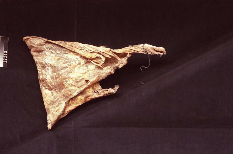 Image representing Rawhide.