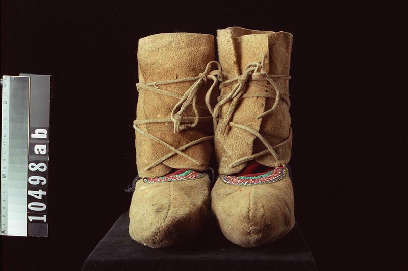 Image representing Moccasin.