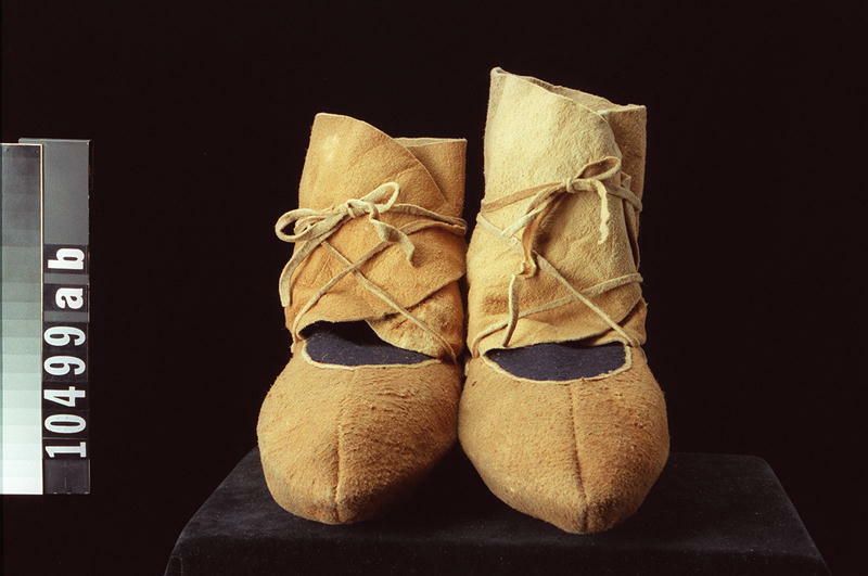 Image representing Moccasin.
