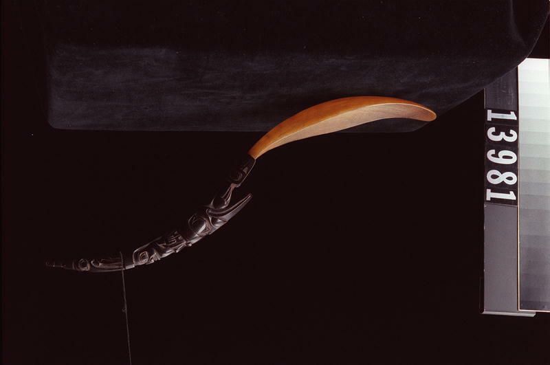 Image representing Spoon.