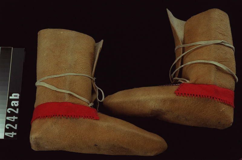 Image representing Moccasin.