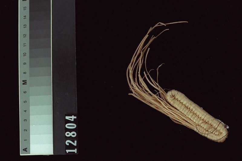 Image representing Basket.