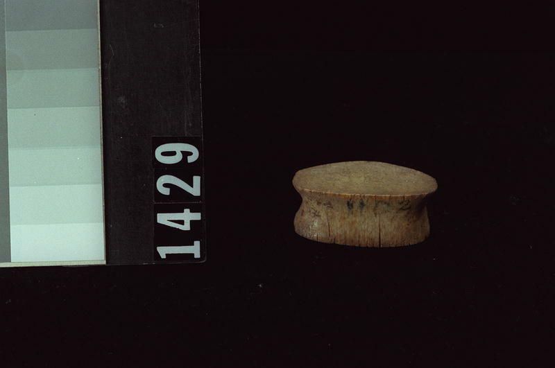 Image representing Labret.