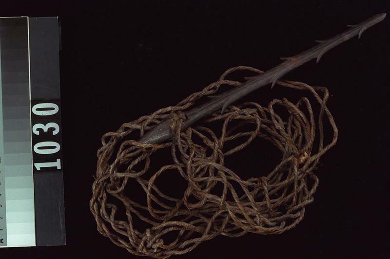 Image representing Harpoon.
