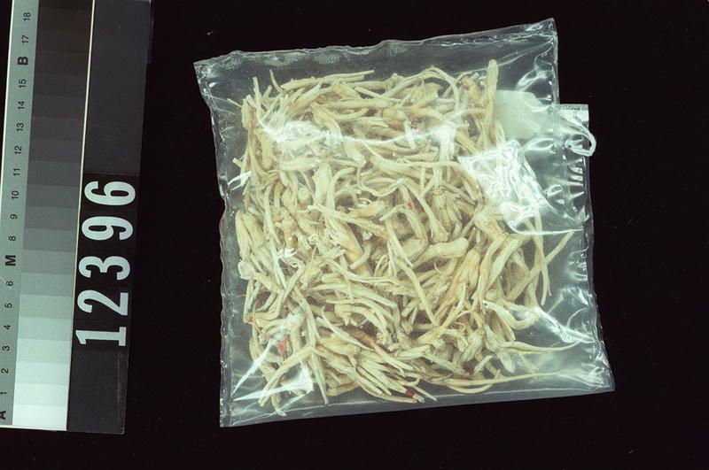 Image representing Raw Material.