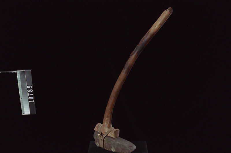 Image representing Adze.
