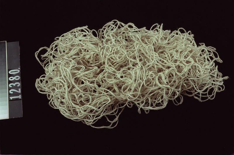 Image representing Net.