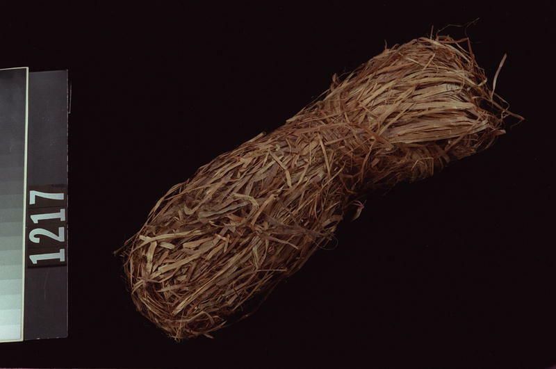 Image representing Fibre.