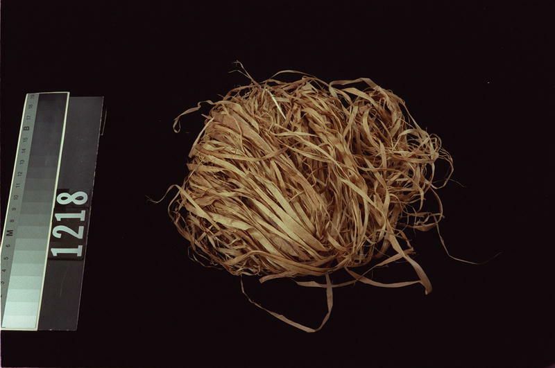 Image representing Prepared Material.