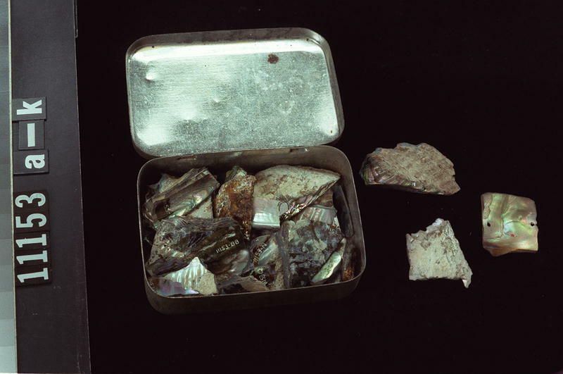 Image representing Prepared Material.
