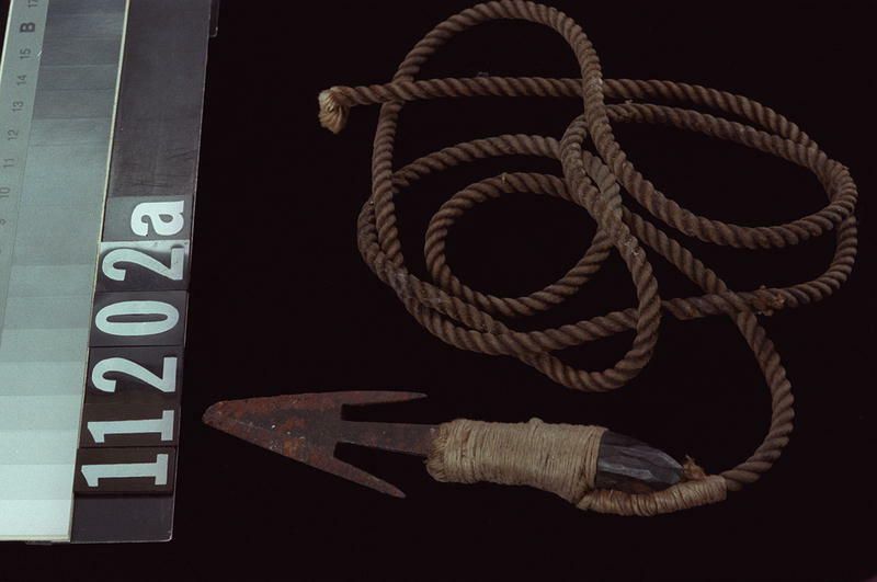 Image representing Harpoon.