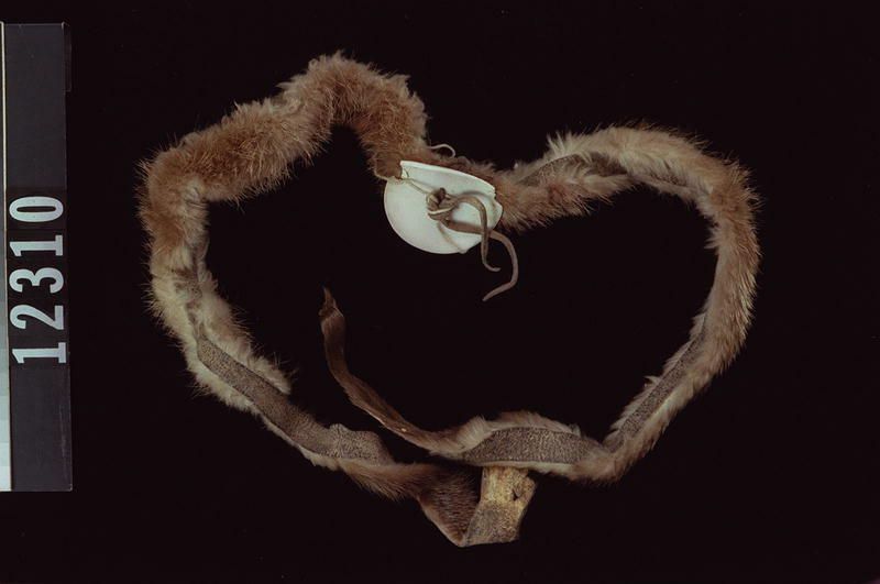 Image representing Costume.